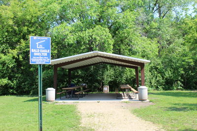 Bald Eagle Shelter