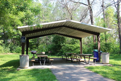 Woodland Shelter